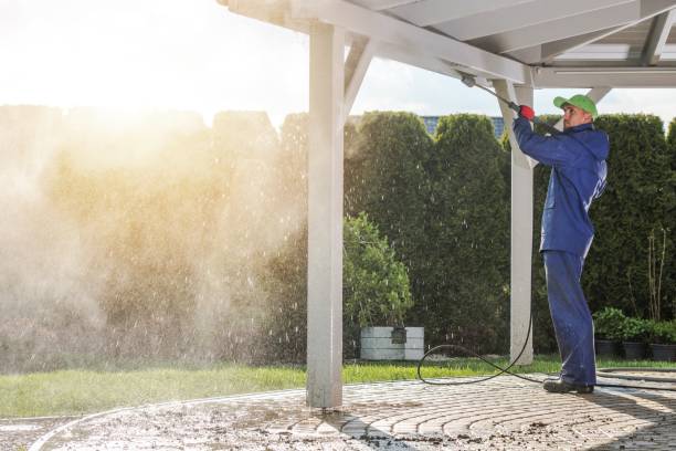 Best Animal Enclosure Cleaning  in Lakewood, NY